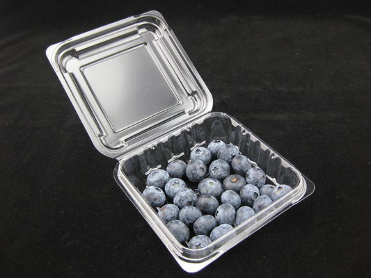 пластиковая упаковка раковины голубики 125g кладет сопротивление в коробку удара