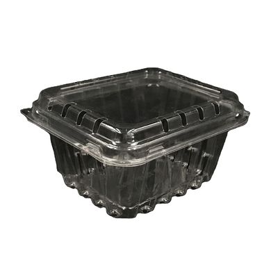 пластиковая упаковка раковины голубики 125g кладет сопротивление в коробку удара