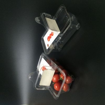 пластиковая упаковка раковины голубики 125g кладет сопротивление в коробку удара