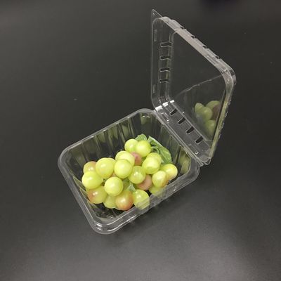 пластиковая упаковка раковины голубики 125g кладет сопротивление в коробку удара