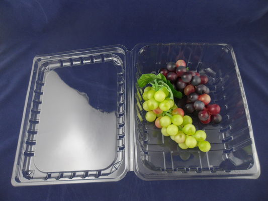 Коробки 500g пластиковой упаковки волдыря Eco дружелюбные устранимые ясные пластиковые