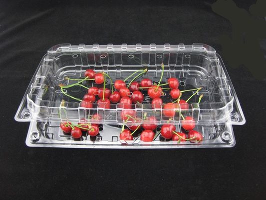 Коробки 500g пластиковой упаковки волдыря Eco дружелюбные устранимые ясные пластиковые